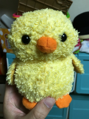 f:id:hanadekameganet:20160517233453j:plain