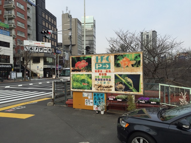 f:id:hanako69:20150314204644j:plain f:id:hanako69:20150314204644j:plain