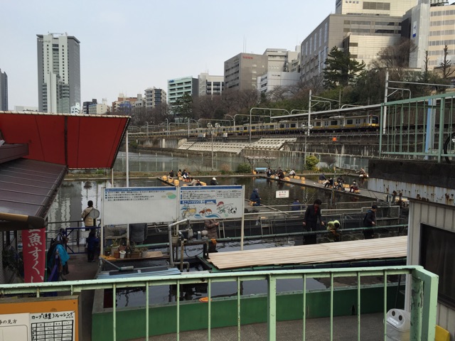 f:id:hanako69:20150314204701j:plain f:id:hanako69:20150314204701j:plain