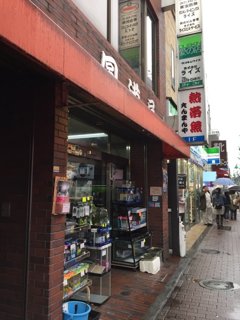 f:id:hanako69:20150319211634j:plain f:id:hanako69:20150319211634j:plain