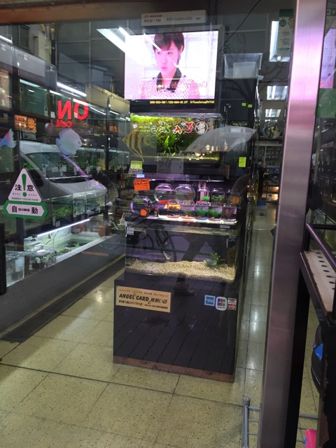 f:id:hanako69:20150319211649j:plain f:id:hanako69:20150319211649j:plain