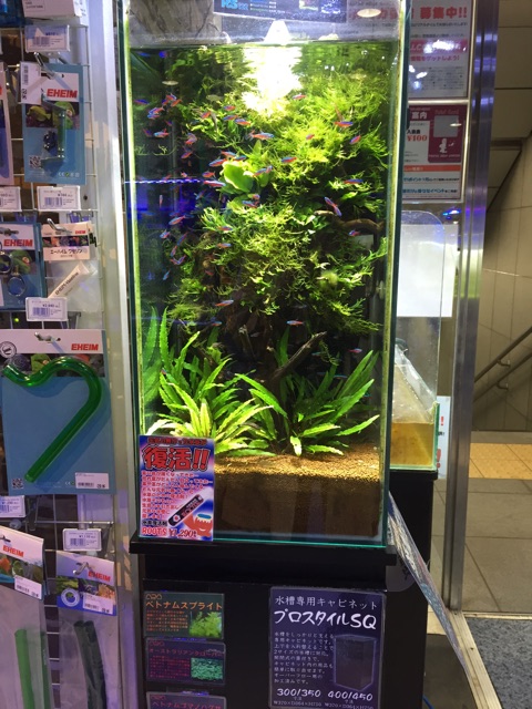 f:id:hanako69:20150418211529j:plain f:id:hanako69:20150418211529j:plain