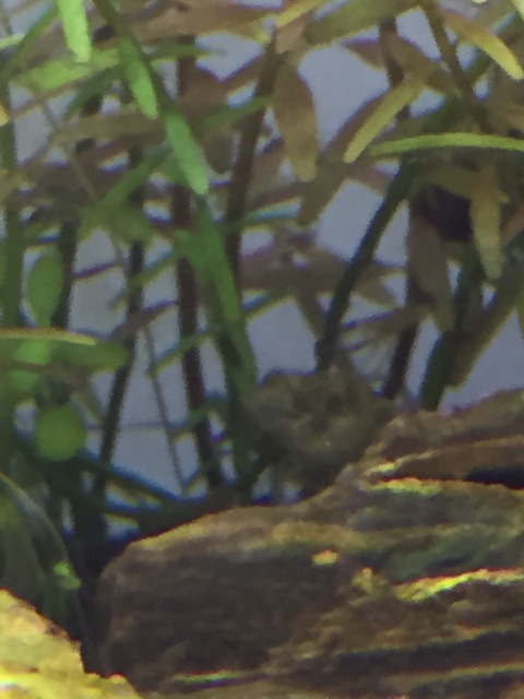 f:id:hanako69:20150426085554j:plain f:id:hanako69:20150426085554j:plain