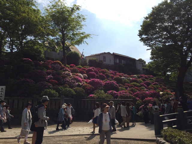 f:id:hanako69:20150429225943j:plain f:id:hanako69:20150429225943j:plain