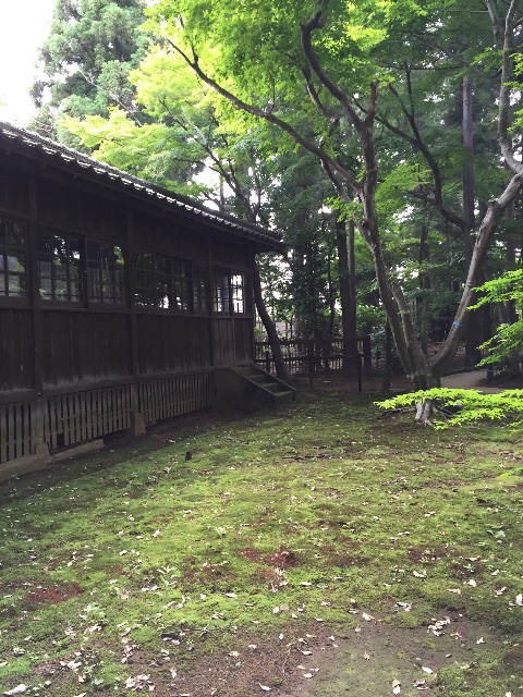 f:id:hanako69:20150607210315j:image f:id:hanako69:20150607210315j:image