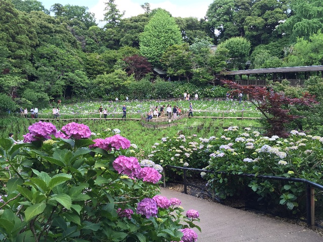 f:id:hanako69:20150607210408j:image f:id:hanako69:20150607210408j:image