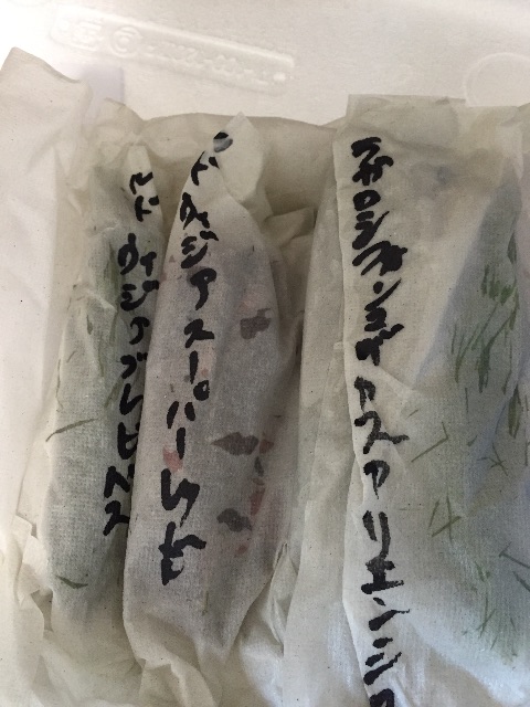 f:id:hanako69:20150725172457j:image f:id:hanako69:20150725172457j:image