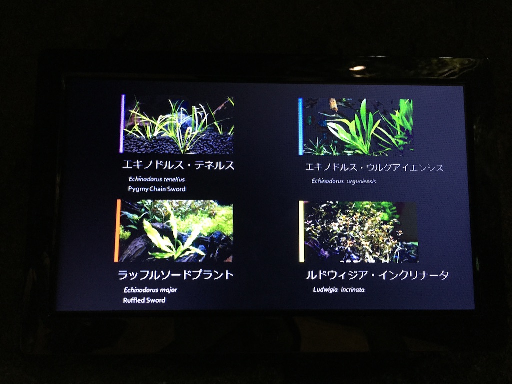 f:id:hanako69:20150905222148j:image f:id:hanako69:20150905222148j:image