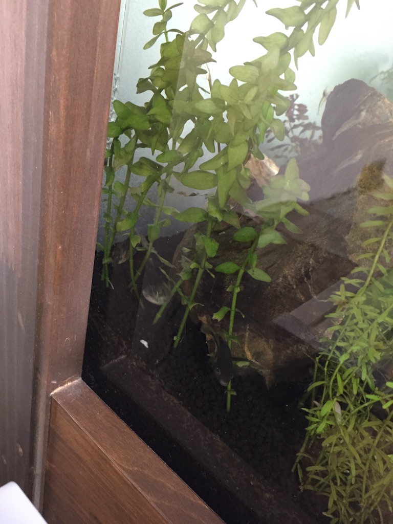 f:id:hanako69:20150914233236j:image f:id:hanako69:20150914233236j:image