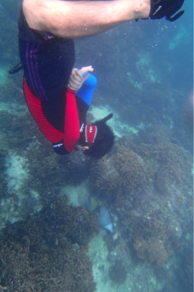 f:id:hanako69:20151016095043j:image f:id:hanako69:20151016095043j:image