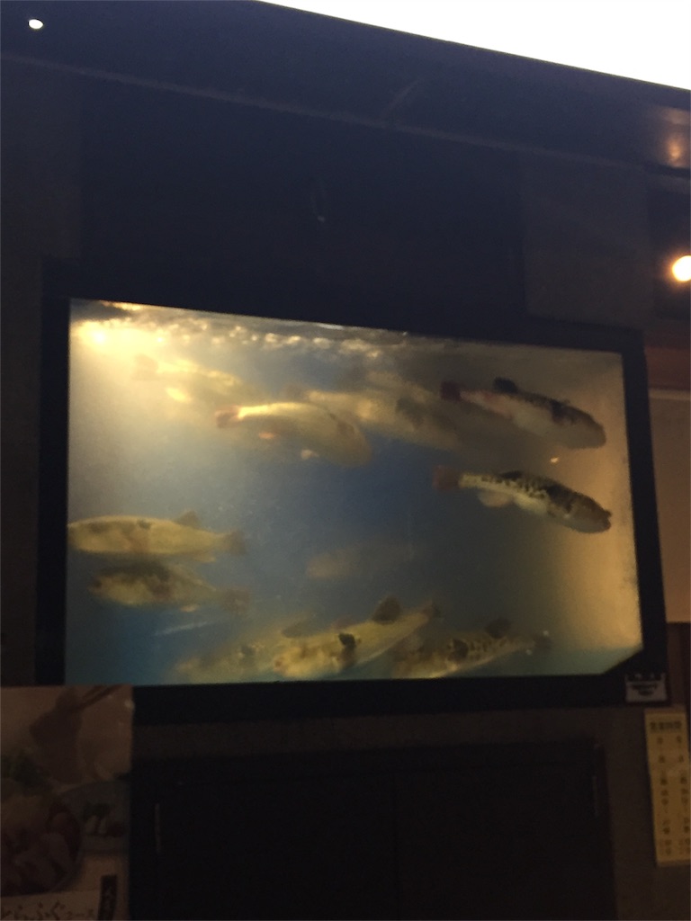 f:id:hanako69:20151216171634j:image f:id:hanako69:20151216171634j:image