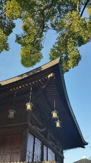 f:id:hanamarutensi:20160110220700j:image f:id:hanamarutensi:20160110220700j:image