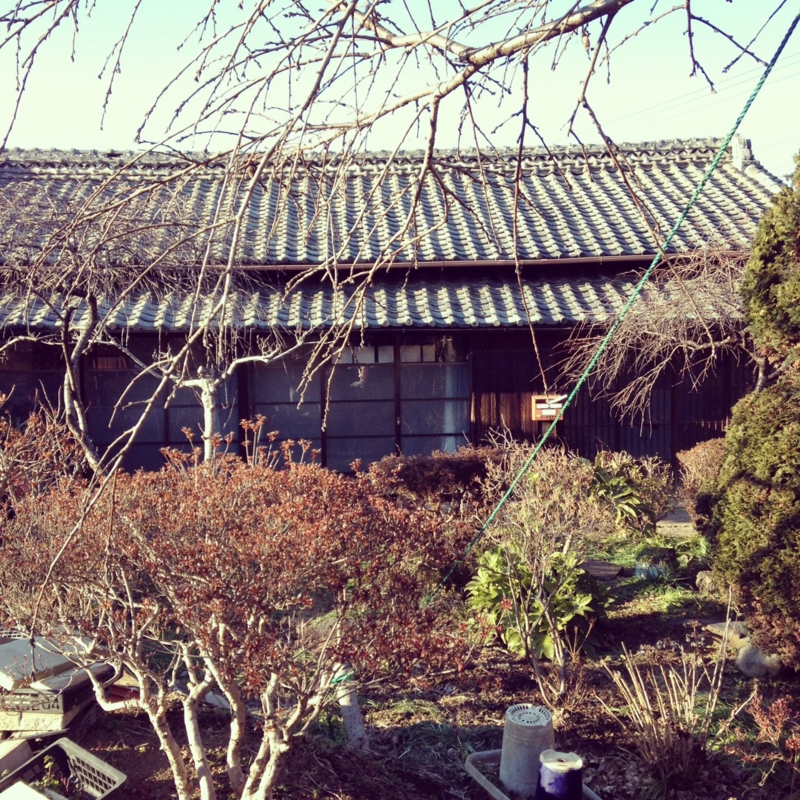 f:id:hanamegane-mashiko:20140123155052j:image:w360 f:id:hanamegane-mashiko:20140123155052j:image:w360