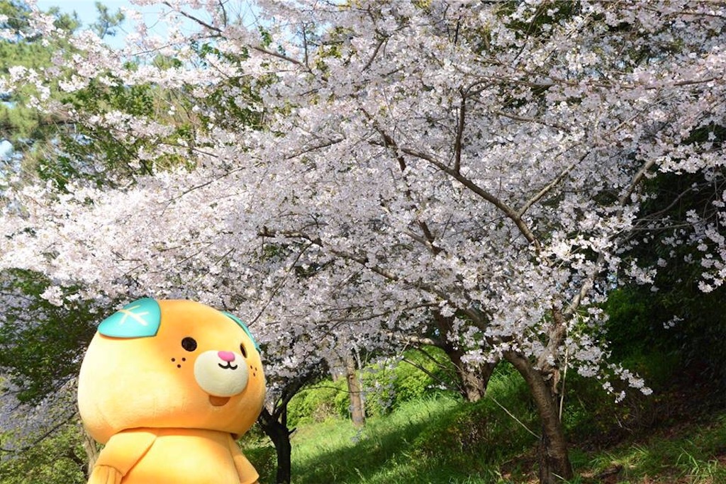 f:id:hanamomoyumi:20160422005221j:image f:id:hanamomoyumi:20160422005221j:image