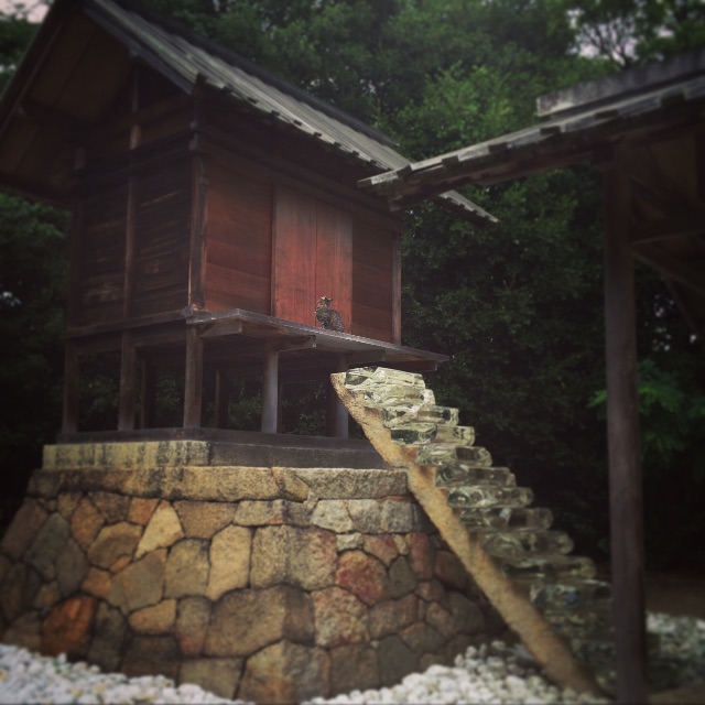 f:id:hanamy:20150625014151j:image f:id:hanamy:20150625014151j:image