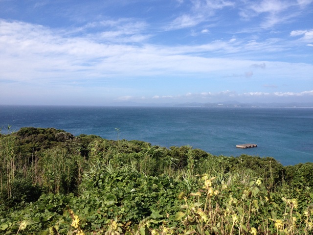 f:id:hananekotei:20140901124010j:plain f:id:hananekotei:20140901124010j:plain