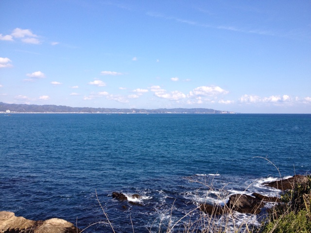 f:id:hananekotei:20150125222535j:plain f:id:hananekotei:20150125222535j:plain