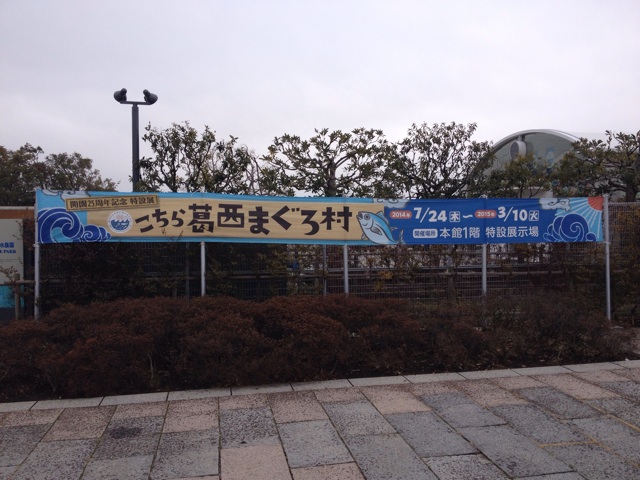f:id:hananekotei:20150223223504j:plain f:id:hananekotei:20150223223504j:plain