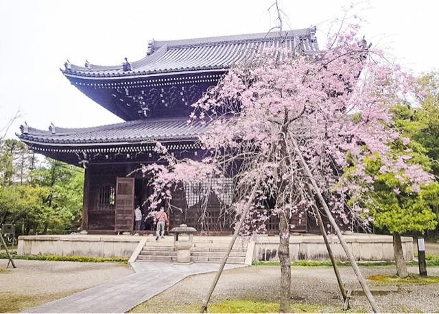 f:id:hanasennin9:20160409062910j:plain f:id:hanasennin9:20160409062910j:plain