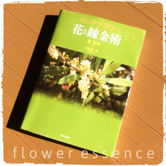 f:id:hanasennin9:20160520071328j:plain f:id:hanasennin9:20160520071328j:plain