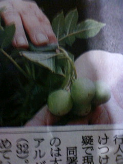 f:id:hanaurara:20100705203947j:image f:id:hanaurara:20100705203947j:image