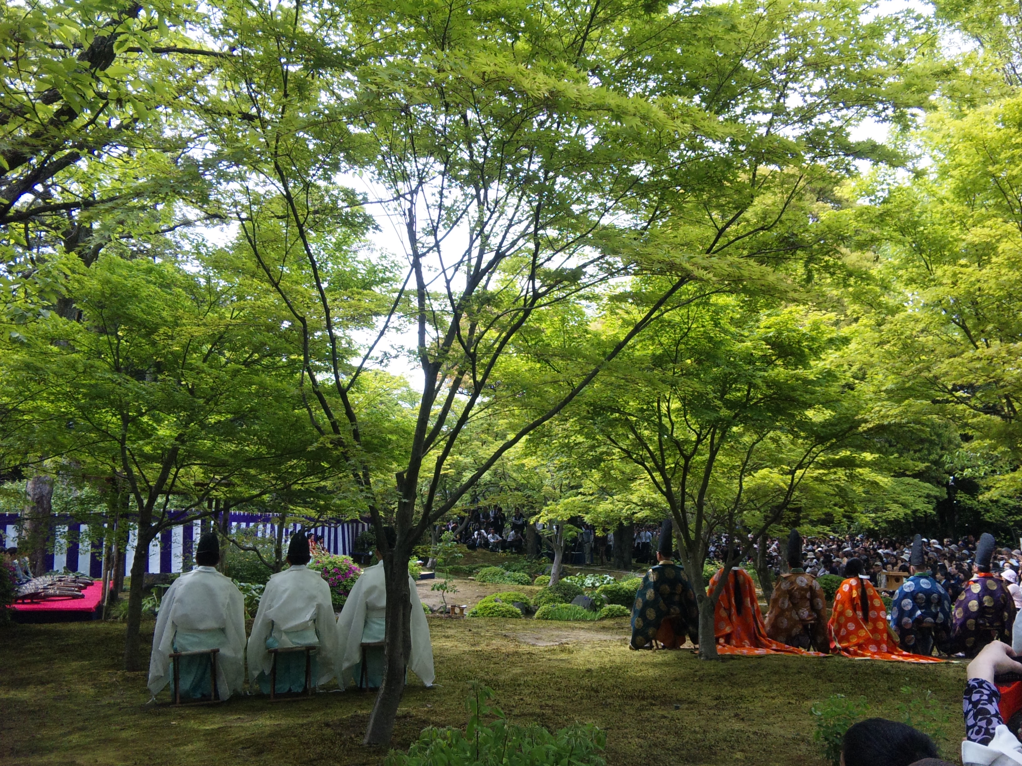 f:id:hanaurara:20130429140130j:image:w360:right f:id:hanaurara:20130429140130j:image:w360:right