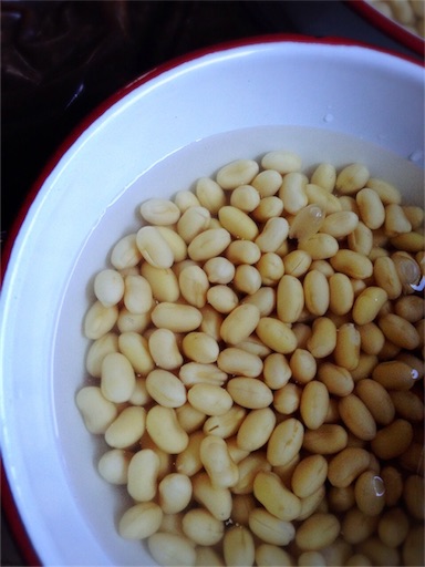 f:id:hanerim:20160208005318j:image