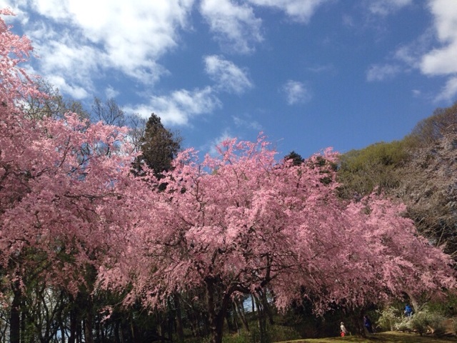 f:id:hao_mei3:20140406100739j:plain f:id:hao_mei3:20140406100739j:plain