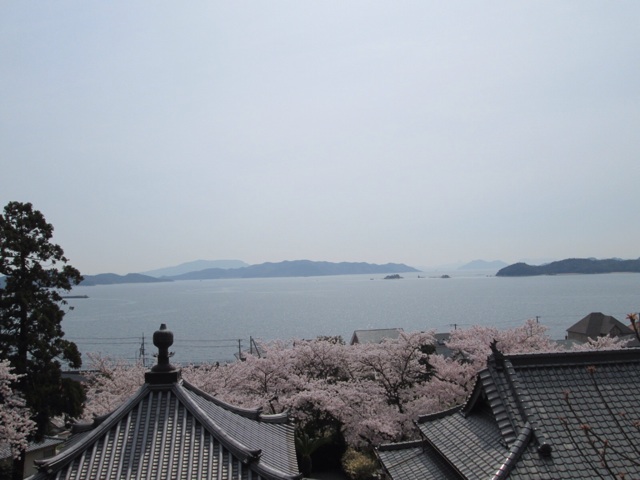 f:id:hao_mei3:20140407192513j:plain f:id:hao_mei3:20140407192513j:plain