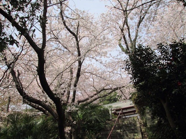 f:id:hao_mei3:20140407192522j:plain f:id:hao_mei3:20140407192522j:plain