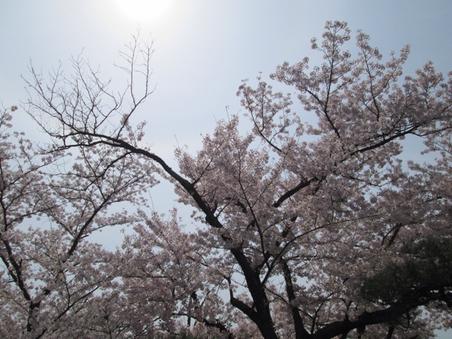 f:id:hao_mei3:20140407192539j:plain f:id:hao_mei3:20140407192539j:plain