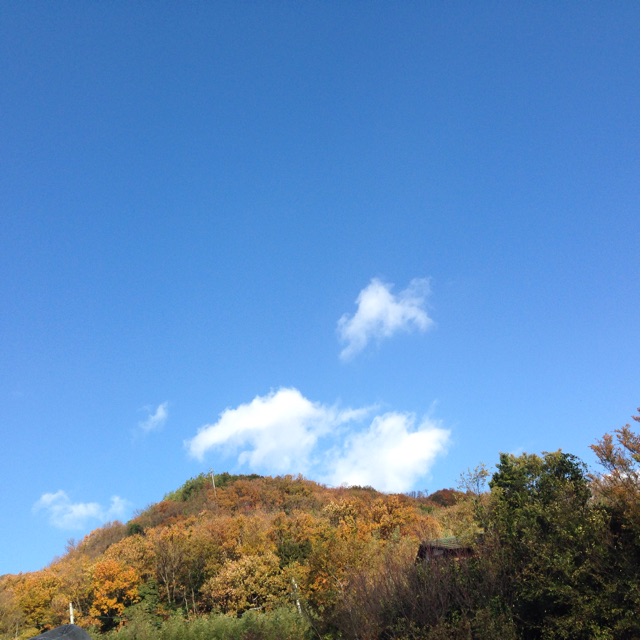 f:id:hao_mei3:20141203065923j:plain f:id:hao_mei3:20141203065923j:plain