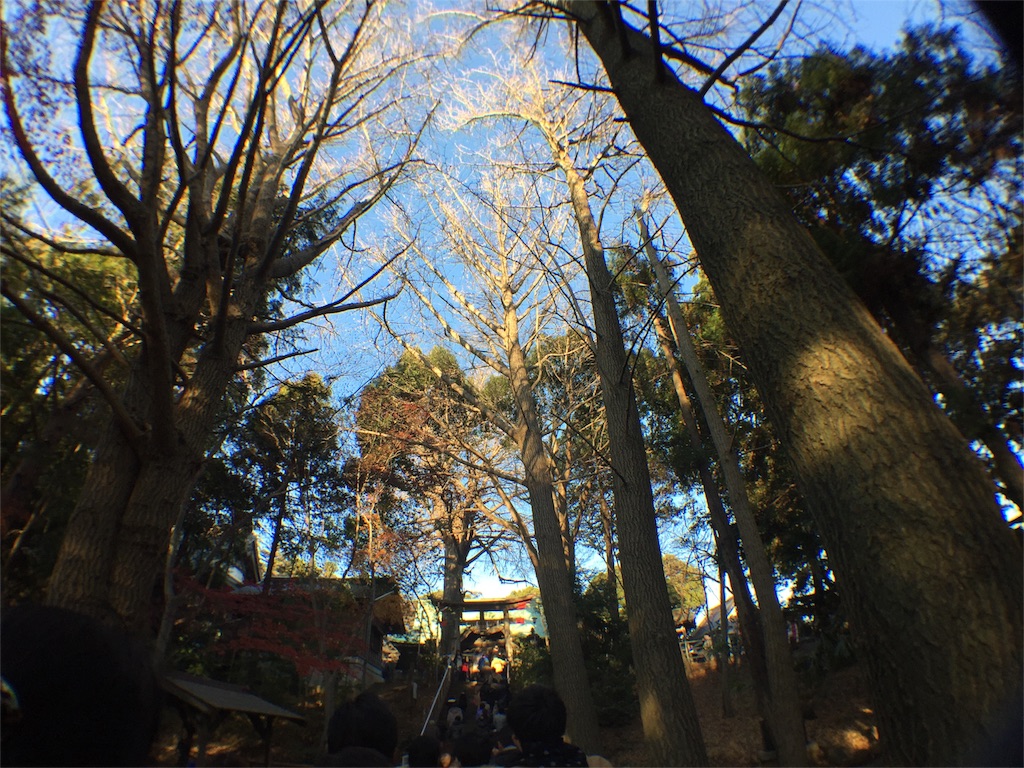 f:id:hao_mei3:20160103080756j:image f:id:hao_mei3:20160103080756j:image