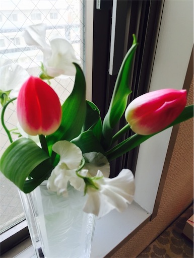f:id:happilyeverafter:20160326124954j:image f:id:happilyeverafter:20160326124954j:image