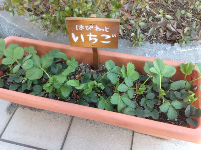 f:id:happy-net:20140409201428j:plain f:id:happy-net:20140409201428j:plain