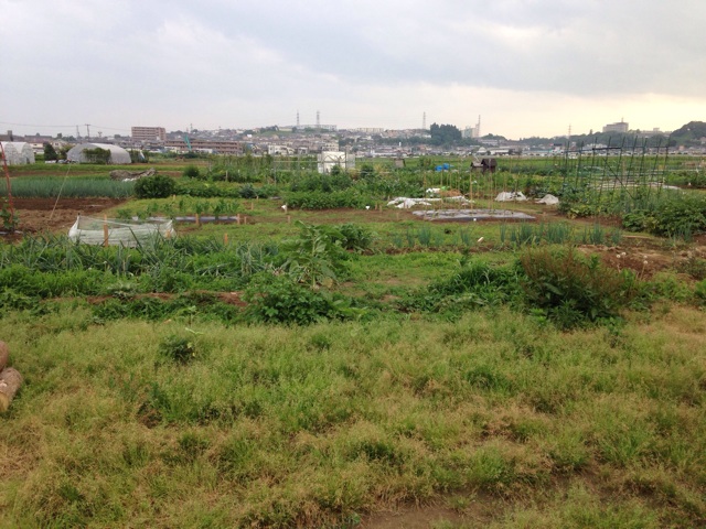 f:id:happy-net:20140620172945j:plain f:id:happy-net:20140620172945j:plain