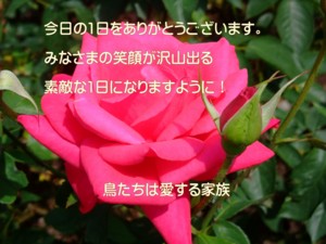 f:id:happy-ok3:20150517124957j:plain