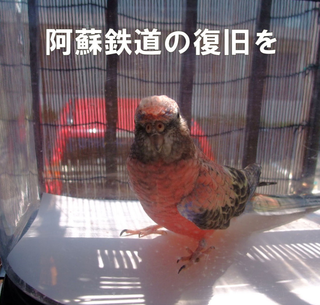 f:id:happy-ok3:20160531132849j:plain