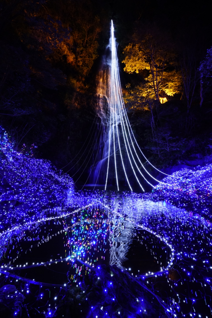 f:id:happy-shin-kyoto:20151223235446j:plain f:id:happy-shin-kyoto:20151223235446j:plain