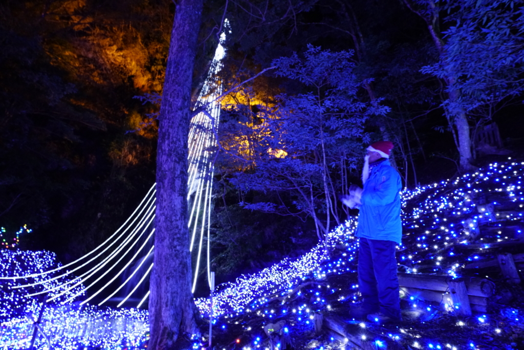 f:id:happy-shin-kyoto:20151224075355j:plain f:id:happy-shin-kyoto:20151224075355j:plain