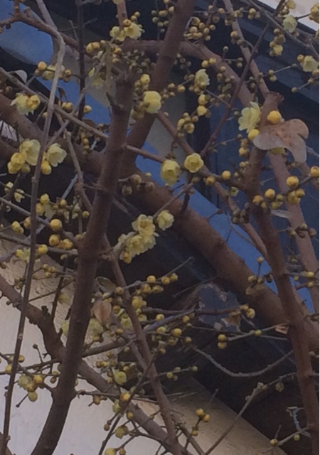 f:id:happymummy:20150114093023j:plain f:id:happymummy:20150114093023j:plain