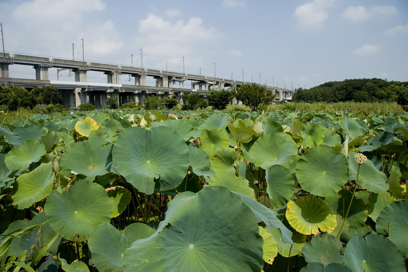 f:id:haraitinuma:20130829101041j:plain