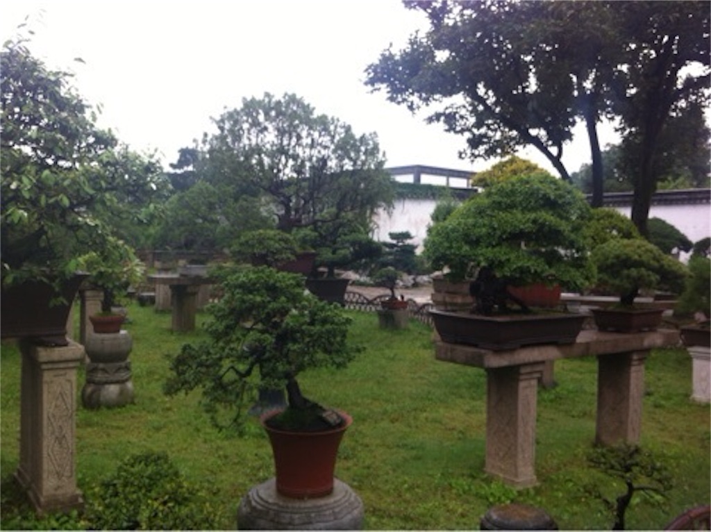 f:id:harayou:20151214050552j:image f:id:harayou:20151214050552j:image