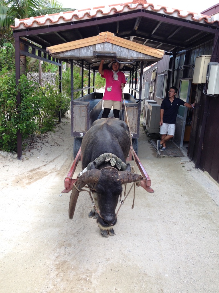 f:id:haretara:20150922001355j:image f:id:haretara:20150922001355j:image