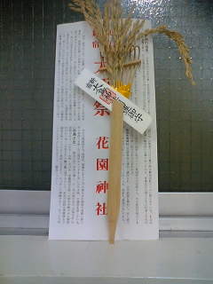 f:id:harikyu-biyori:20061117133143j:image f:id:harikyu-biyori:20061117133143j:image