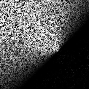 f:id:haru-komugi:20080928150206j:image f:id:haru-komugi:20080928150206j:image