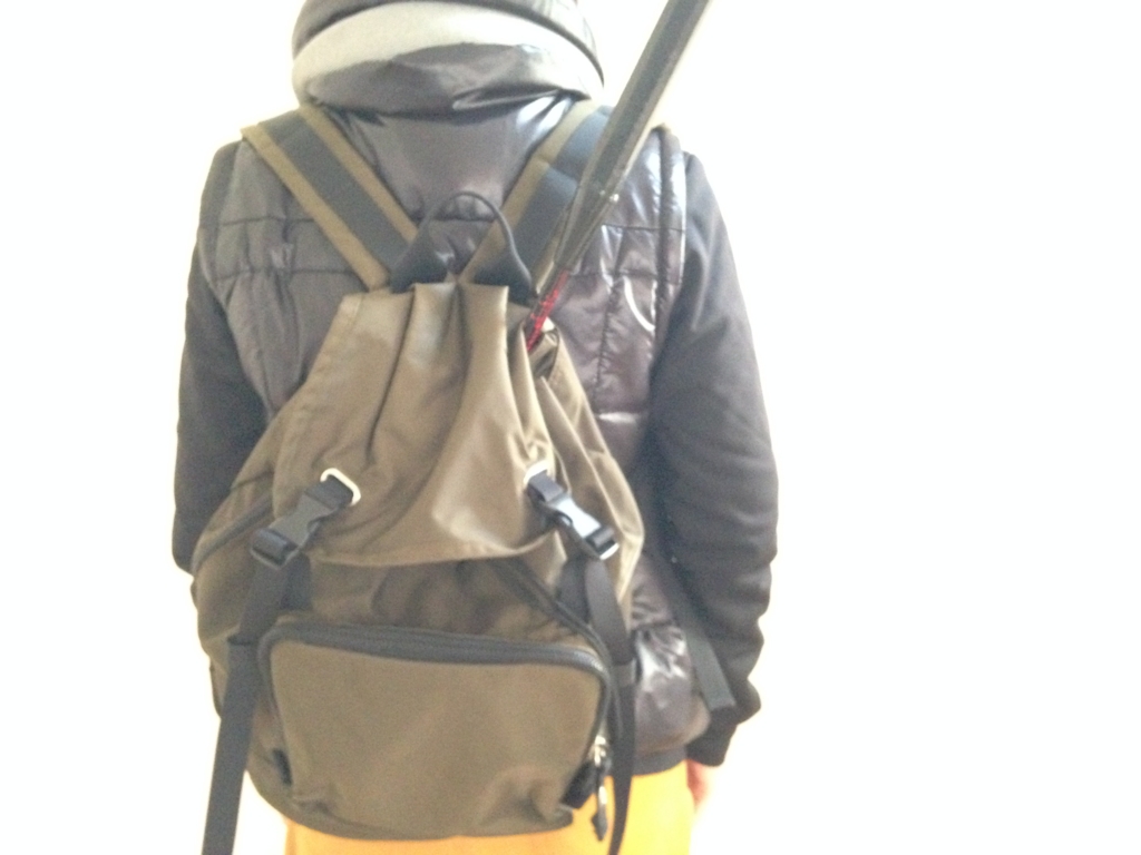 f:id:haru501227:20160325165524j:plain