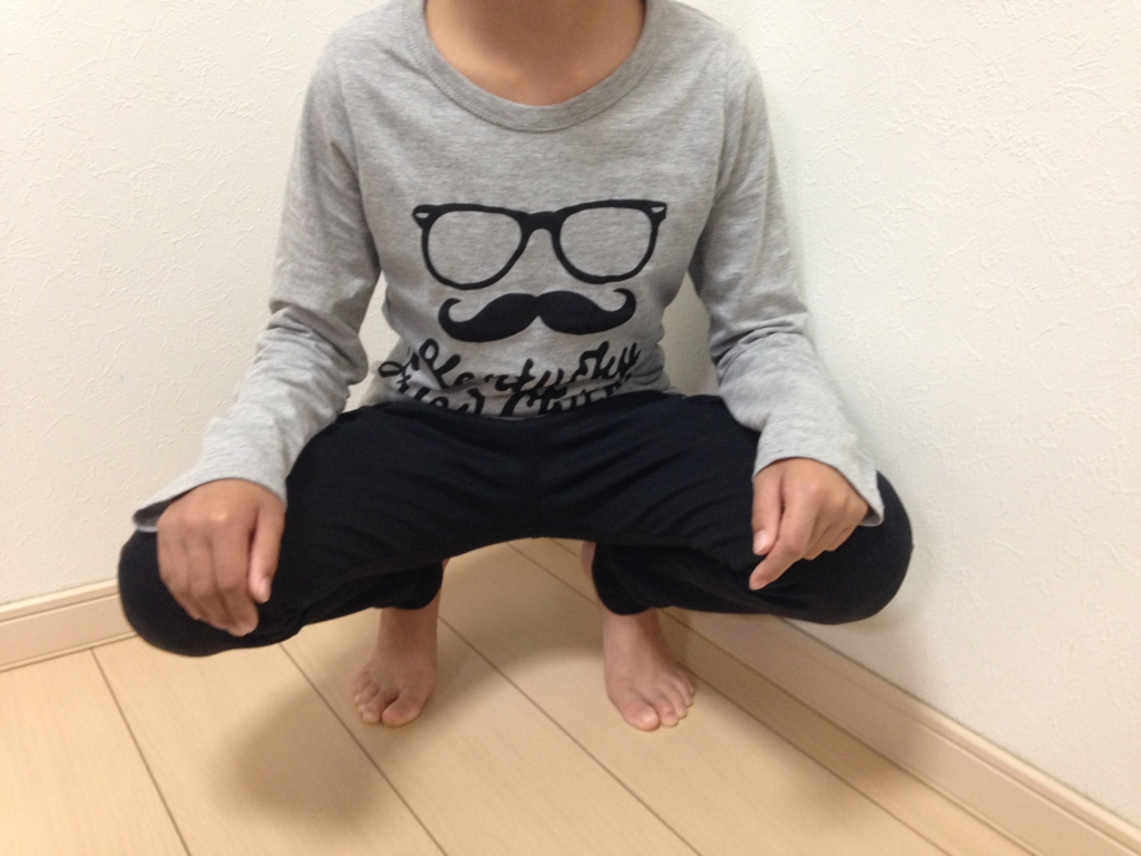 f:id:haru501227:20160429214619j:plain f:id:haru501227:20160429214619j:plain