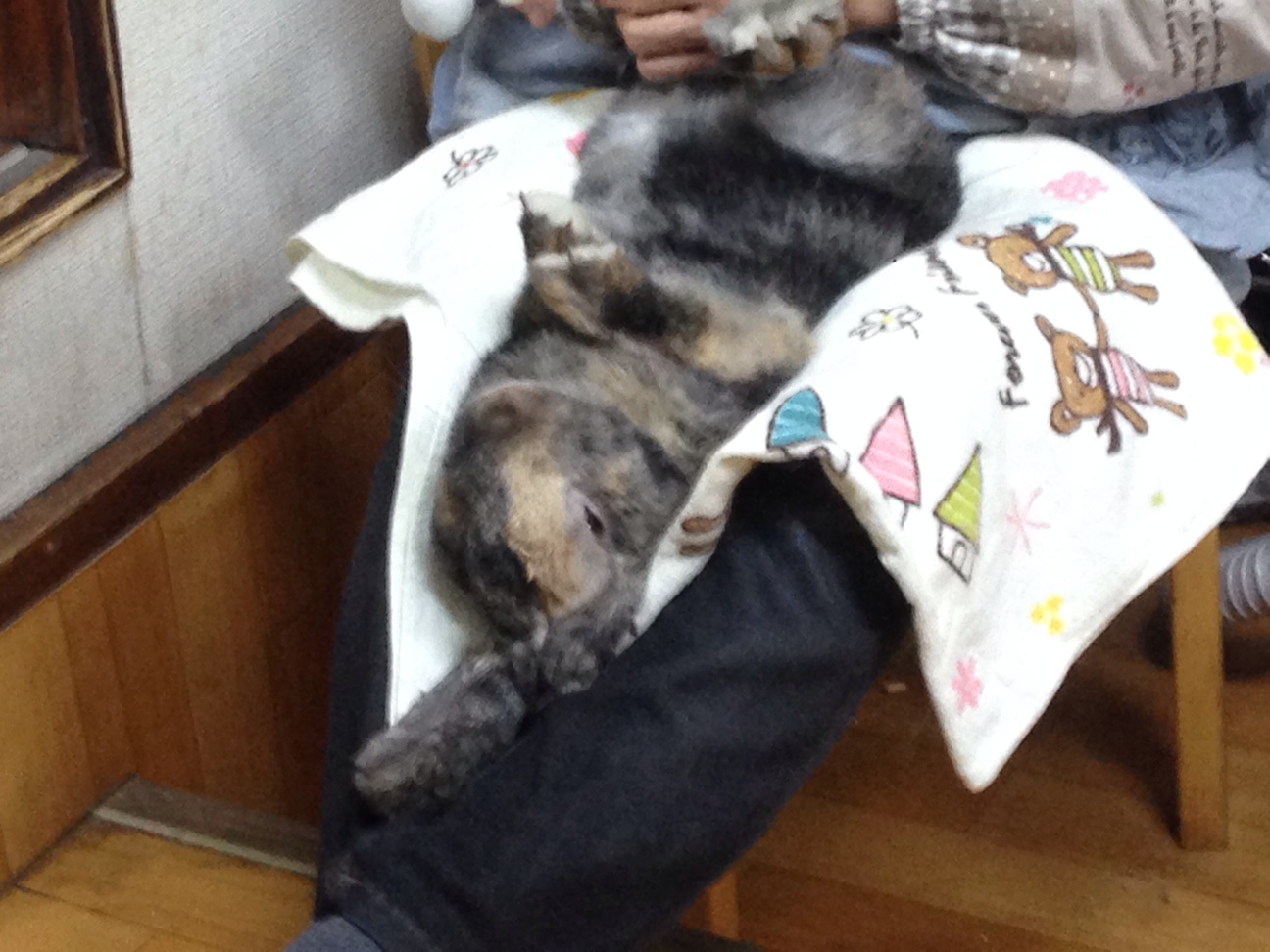 f:id:haru_ban:20140328225229j:plain f:id:haru_ban:20140328225229j:plain