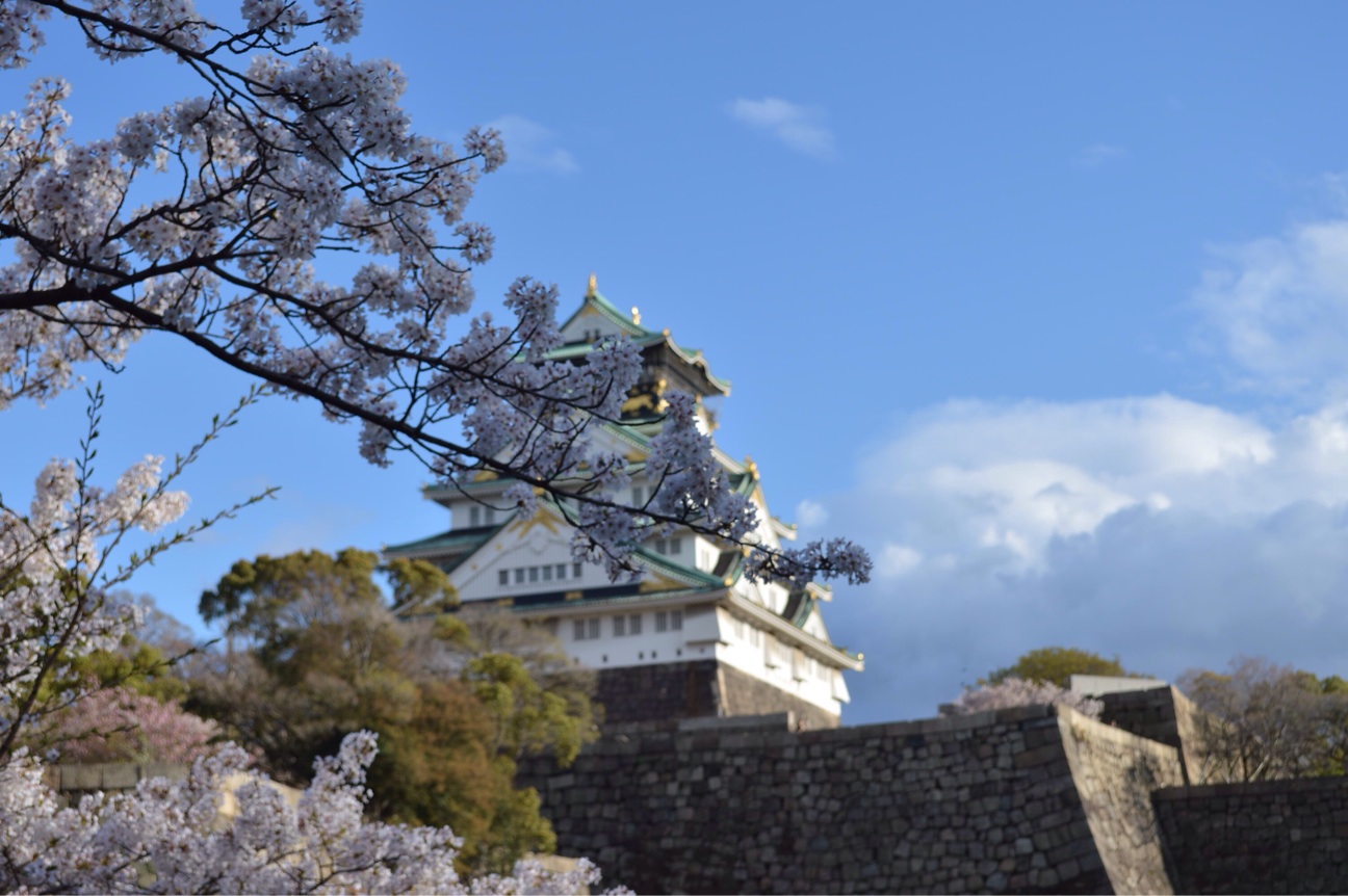 f:id:haru_ban:20140404221851j:plain f:id:haru_ban:20140404221851j:plain